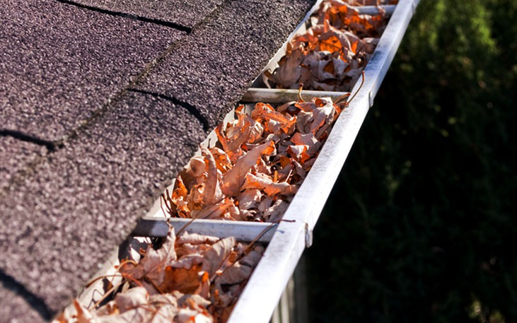 Limpieza canalones en casas de Burgos