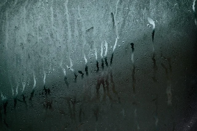 Las ventanas y la humedad en Burgos