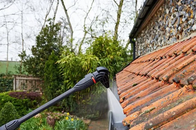 Limpieza canalones en casas de Burgos